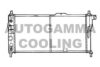 AUTOGAMMA 100693 Radiator, engine cooling